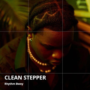 Clean Stepperr (Explicit)