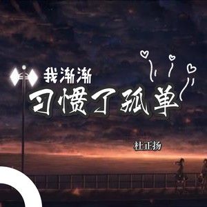 我渐渐习惯了孤单