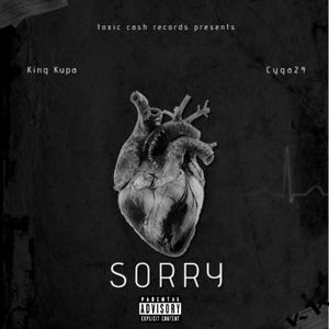 Sorry (feat. Cyga24) [Explicit]