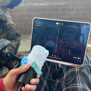 Hop off the porch (freestyle) (Explicit)