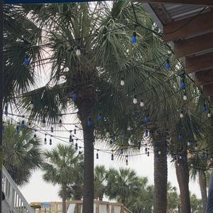 Pissy Pamper (Freestyle) (Explicit)