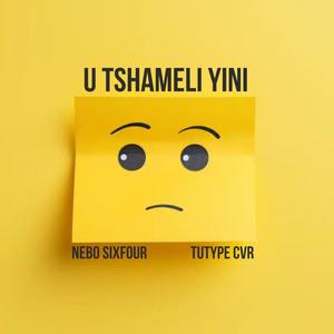 U TSHAMELI YINI (feat. Tutype cvr)