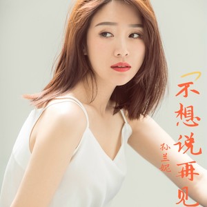 不想说再见