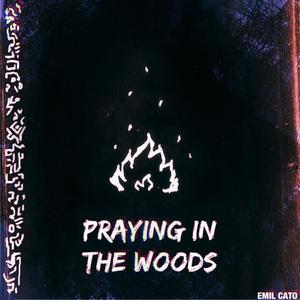 Praying in the Woods