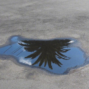 JAEFOREAL - Battle Day (豫人堂 remix)