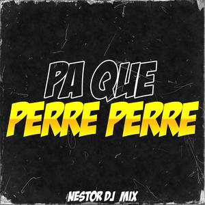 Pa Que Perre Perre(feat. DJ KAPA)