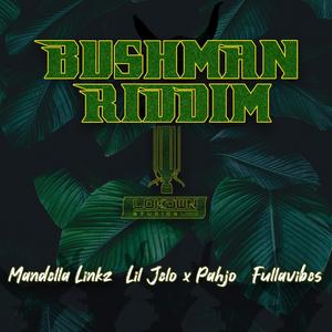 Bushman Riddim