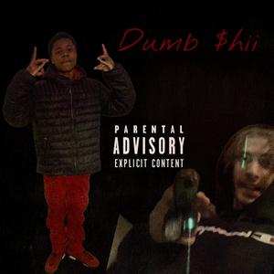 Dumb Shii (feat. CKStax & luljay) (Explicit)