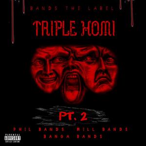 Triple Homi, Pt. 2 (feat. Will Bands & Banga Bands) [Explicit]