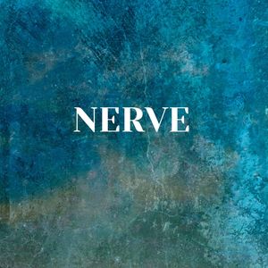 Nerve