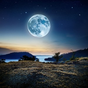 El Silencio Del Descanso Pacífico