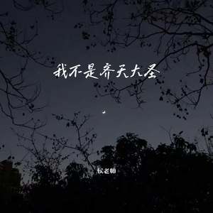 我不是齐天大圣