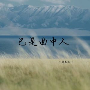 已是曲中人 (超燃版)
