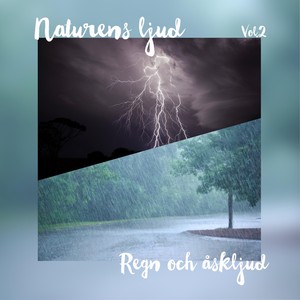 Naturens ljud, Vol. 2: Regn och åskljud