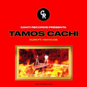 Tamos Cachi(feat. Yanyo DB)