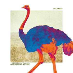 Ostriches (Explicit)