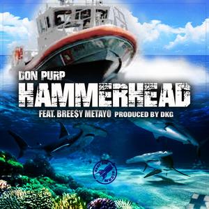 HammerHead (feat. Bree$y Metayo) (Explicit)