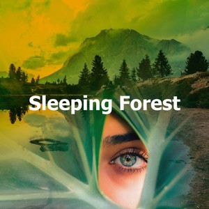 Sleeping Forest