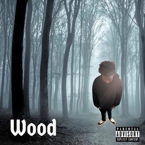 woods (Explicit)