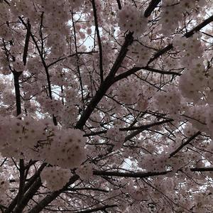 Rackables! (Explicit)