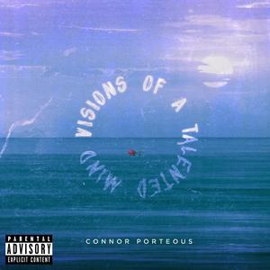 visions of a tainted mind (Explicit)