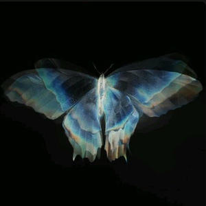 Fall In Luv (feat. Timmy Turner) (Explicit)