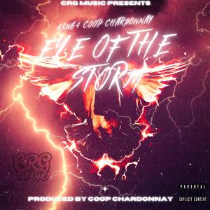 Polo Tee (feat. Coop Chardonnay & Jus Lyon) (Explicit)