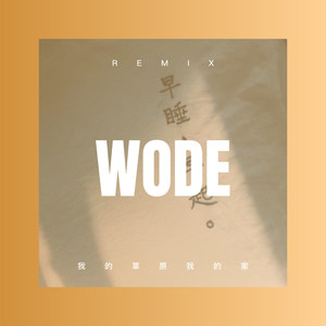 菩提树下 (DJ版)