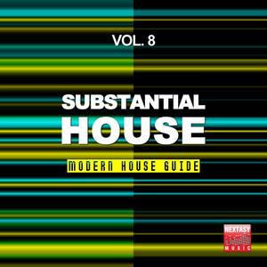 Substantial House, Vol. 8 (Modern House Guide)