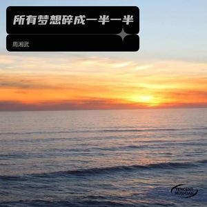 所有梦想碎成一半一半
