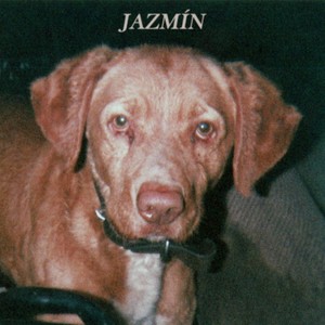 Jazmín