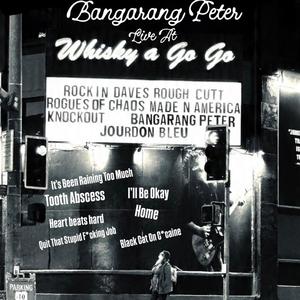 It's Been Raining Too Much (Live at Whisky a Go Go)