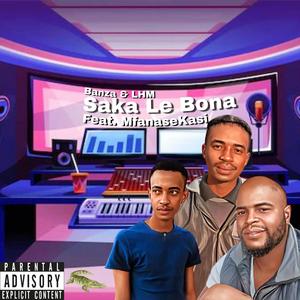 SAKA LE BONA (feat. MFANASEKASI)