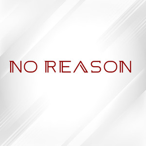 NO REASON (Explicit)