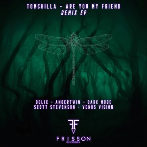 Are You My Friend (Delix Remix)