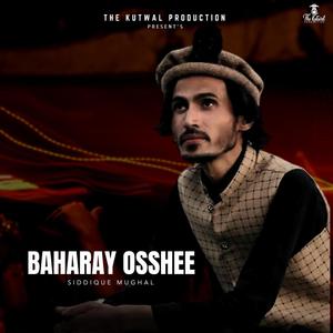 Baharay Osshee (feat. Siddique Mughal)