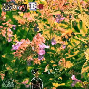 Groovy Bee (Explicit)