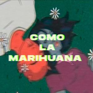 Eres como la marihuana(feat. Taineer PR U) (Explicit)