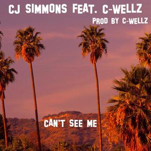 Can't See Me(feat. C-Wellz) (Explicit)