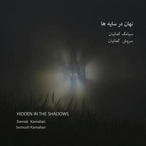 Hidden In The Shadows