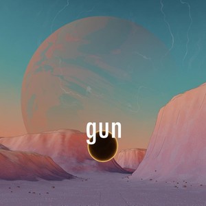 Gun