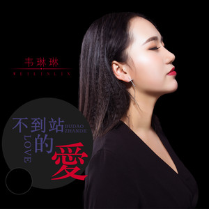 不到站的爱