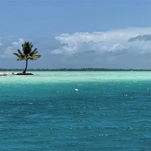 Ameriie - 時間を名乗る天使 (氛围版)