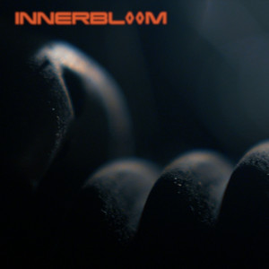 Innerbl◊◊m
