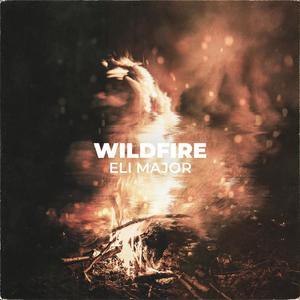 Wildfire (Explicit)