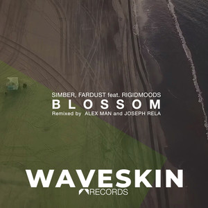 Blossom (The Remixes)