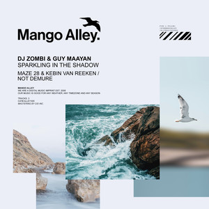 Sparkling in the Shadow (Maze 28 & Kebin van Reeken Remix)