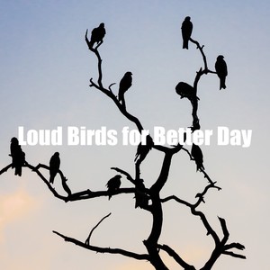 Loud Birds for Better Day