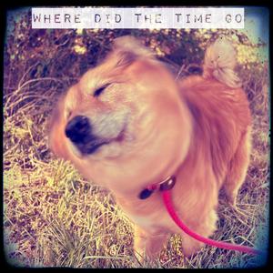 Where Did The Time Go (Acoustic Version)