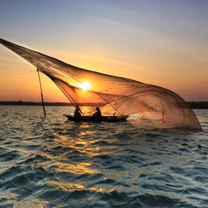 Fisherman's Net